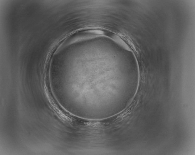 X0000071810145200606301236