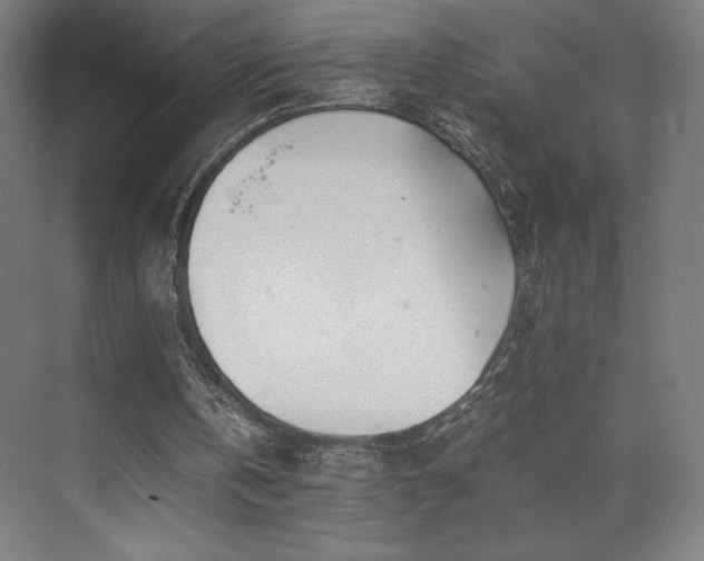 X0000071810146200606301236