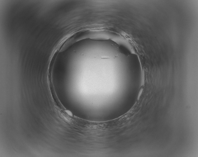 X0000071810147200606301236