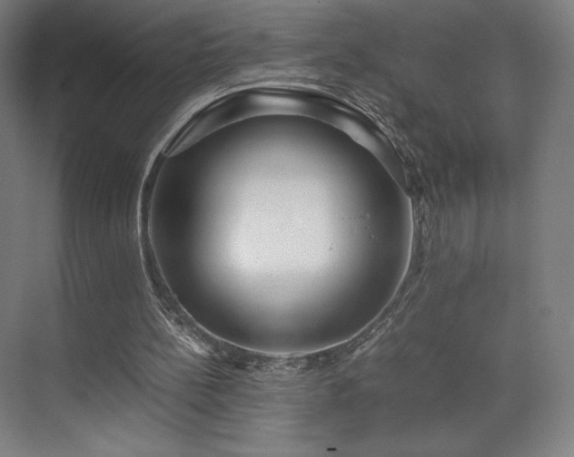 X0000071810148200606301236