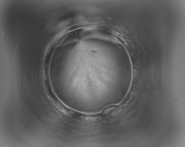 X0000071810149200606301236