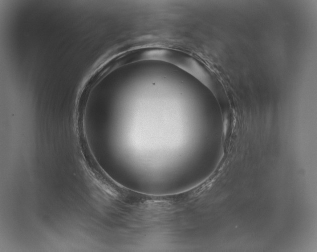 X0000071810150200606301236