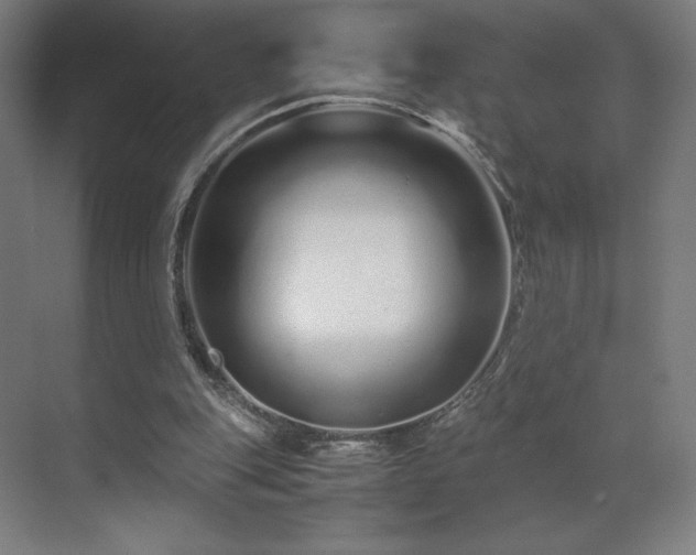 X0000071810151200606301236