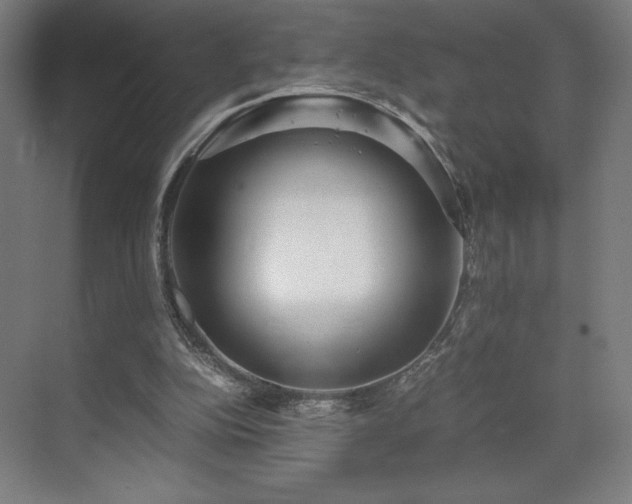 X0000071810152200606301236