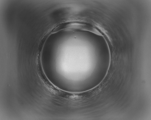 X0000071810153200606301236