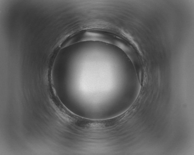 X0000071810154200606301236