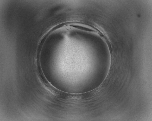 X0000071810155200606301236