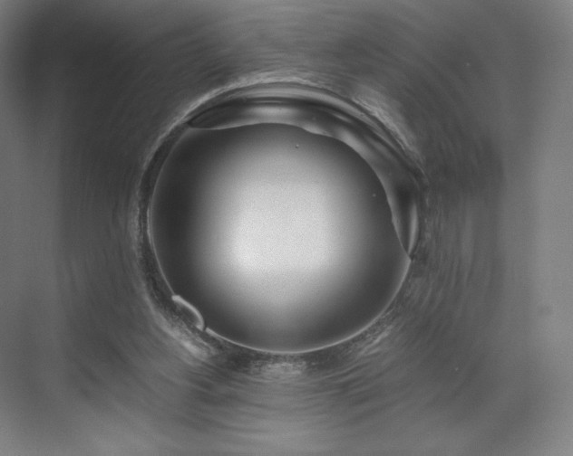 X0000071810156200606301236