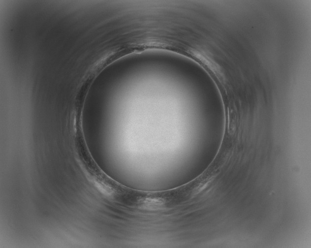 X0000071810157200606301236