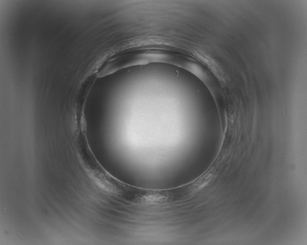 X0000071810158200606301236