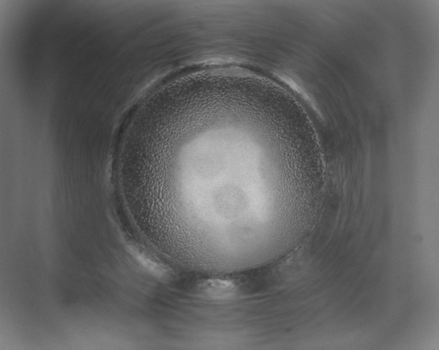 X0000071810159200606301236