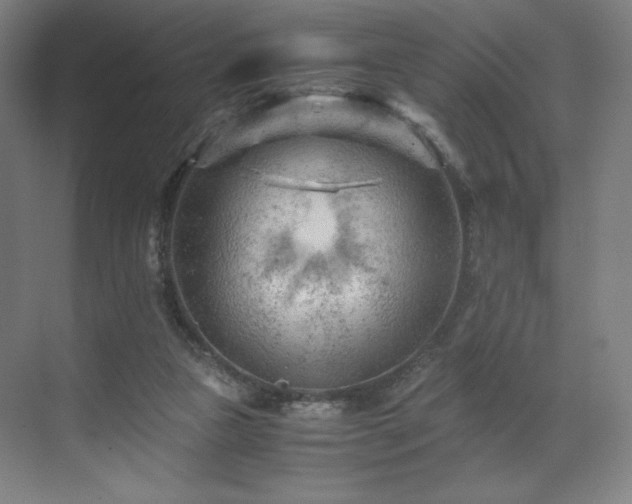 X0000071810161200606301236