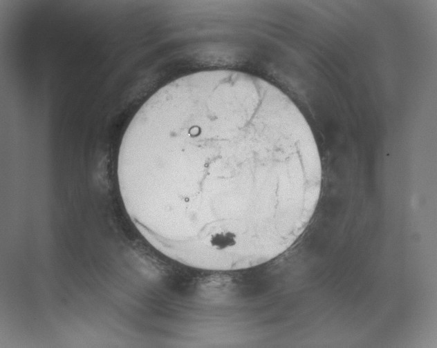 X0000071810162200606301236