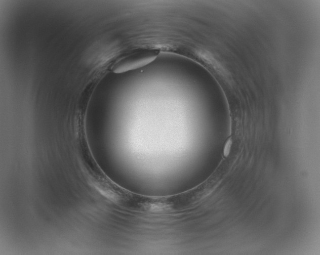 X0000071810165200606301236