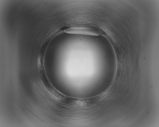 X0000071810166200606301236