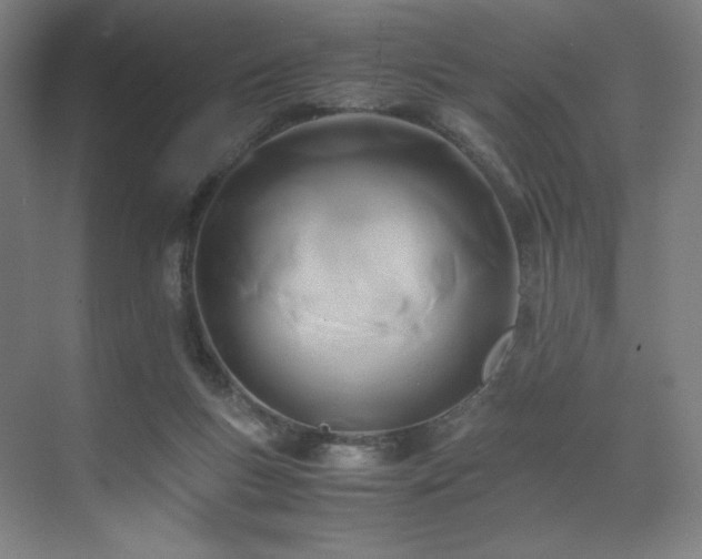 X0000071810167200606301236