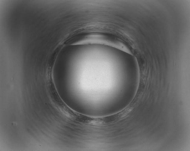 X0000071810168200606301236