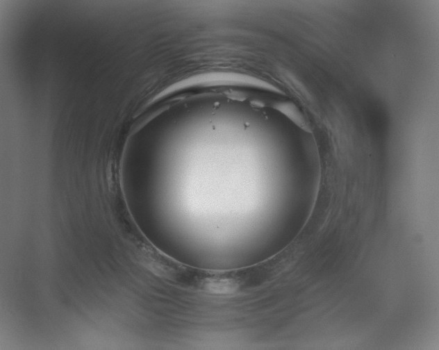 X0000071810169200606301236