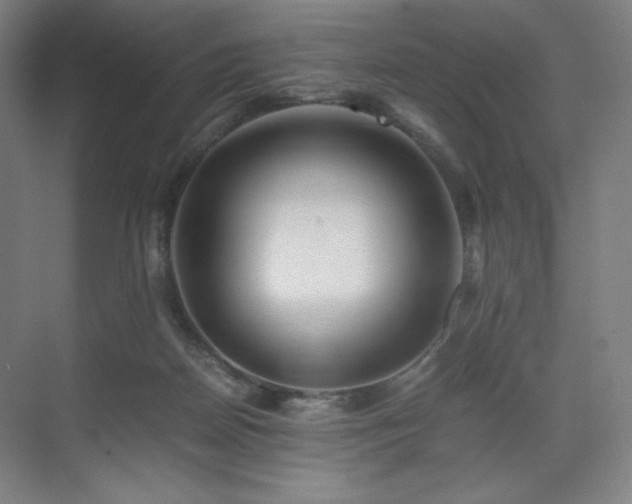 X0000071810170200606301236