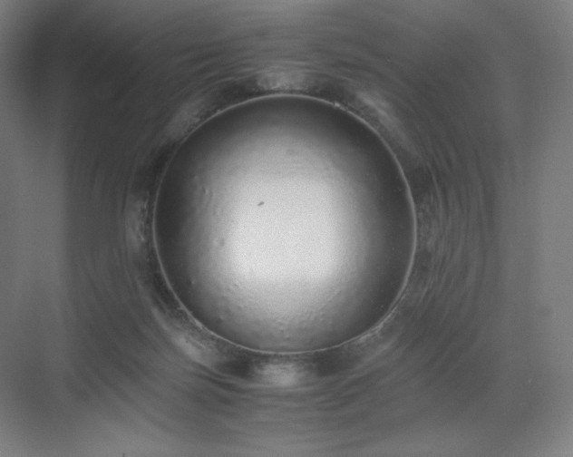 X0000071810171200606301236