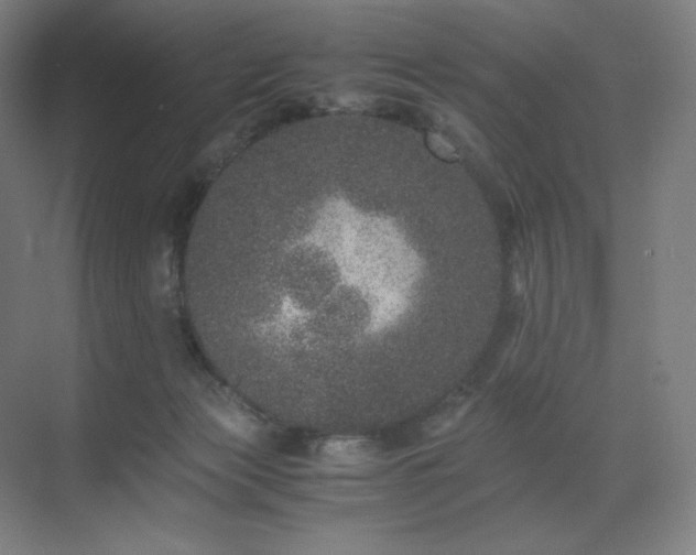 X0000071810173200606301236