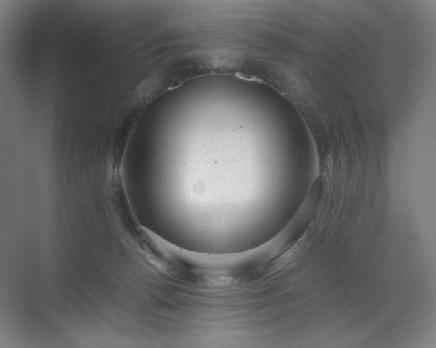 X0000071810176200606301236