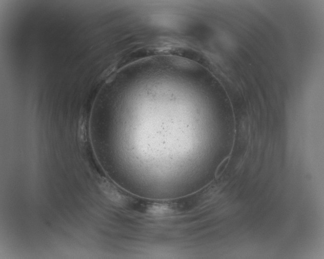 X0000071810177200606301236