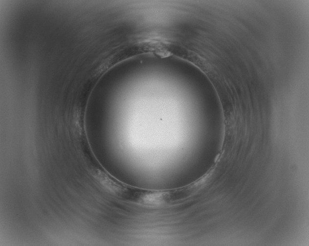 X0000071810178200606301236