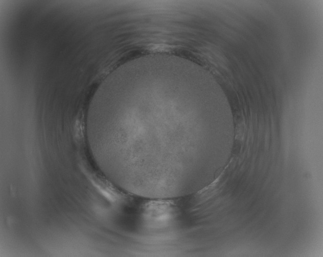 X0000071810179200606301236