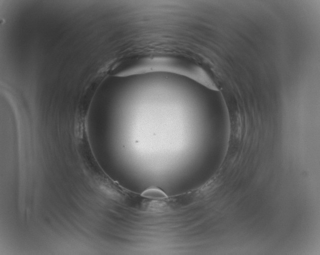 X0000071810180200606301236