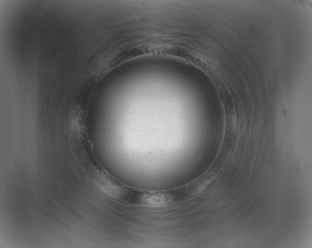 X0000071810181200606301236