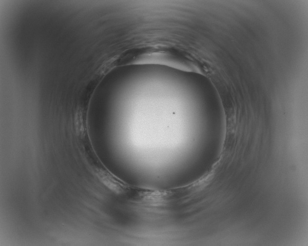 X0000071810182200606301236