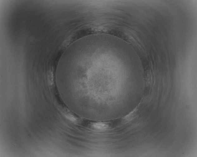 X0000071810183200606301236