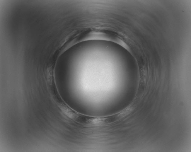 X0000071810184200606301236