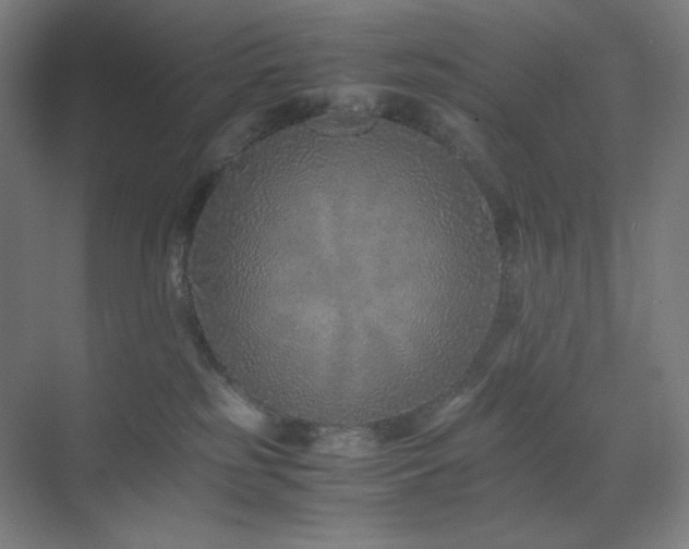 X0000071810185200606301236