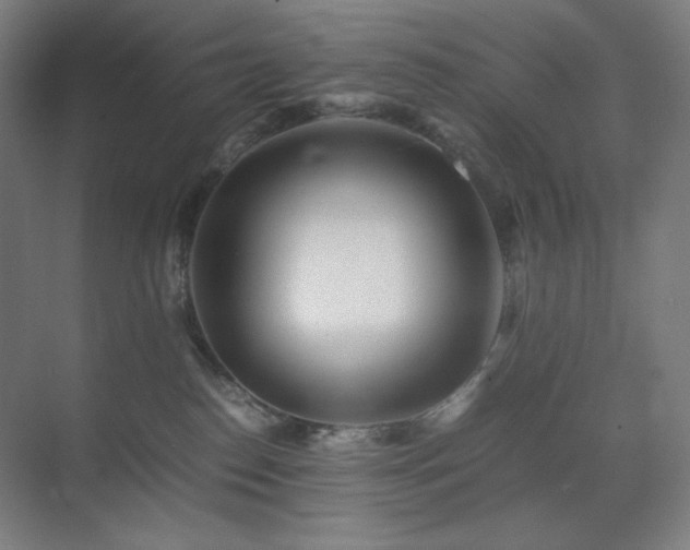 X0000071810186200606301236