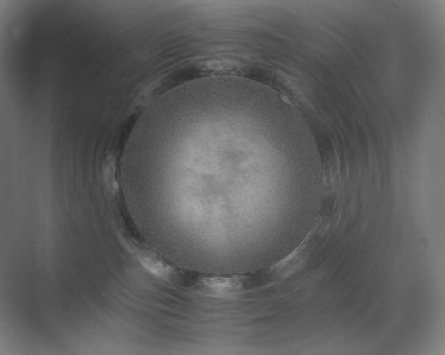 X0000071810187200606301236