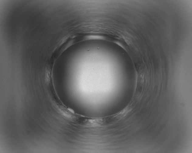 X0000071810188200606301236