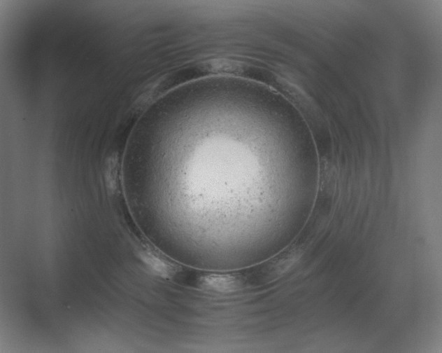 X0000071810189200606301236