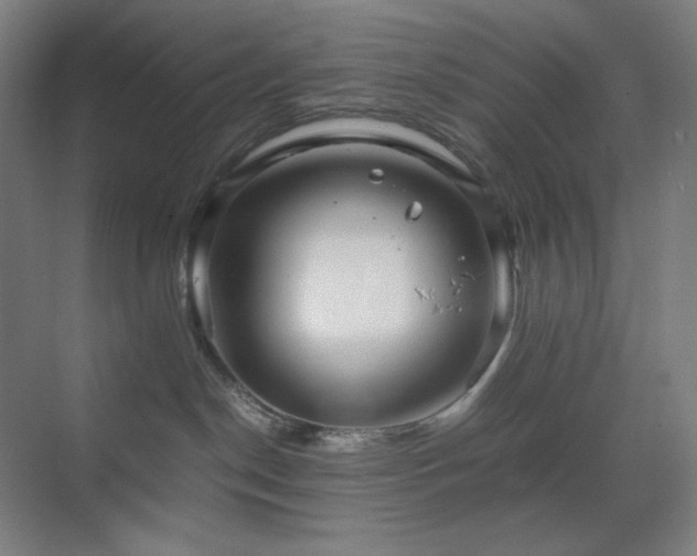 X0000071810190200606301236