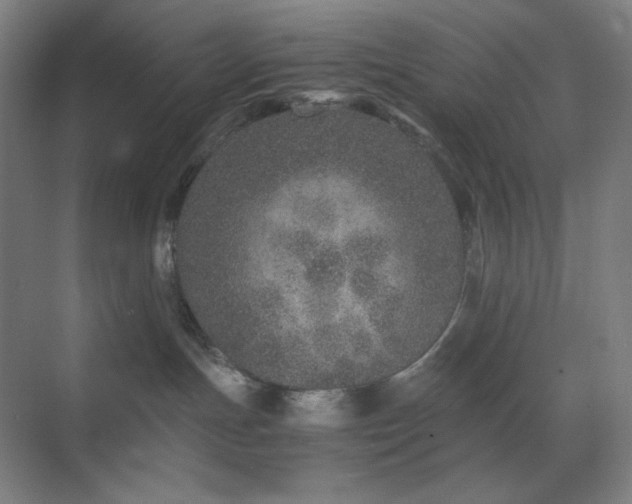 X0000071810191200606301236