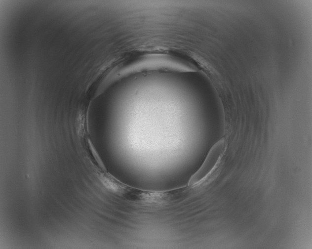 X0000071810192200606301236