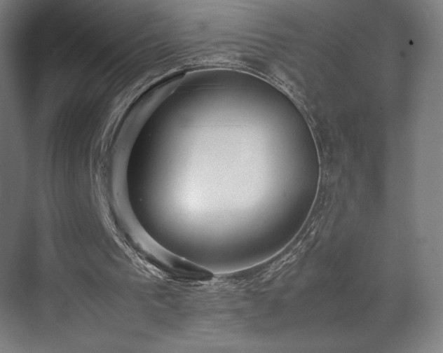 X0000071810193200606301236