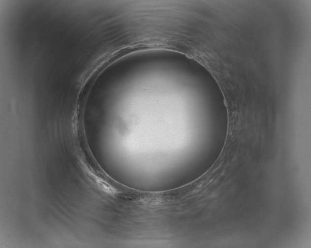 X0000071810194200606301236