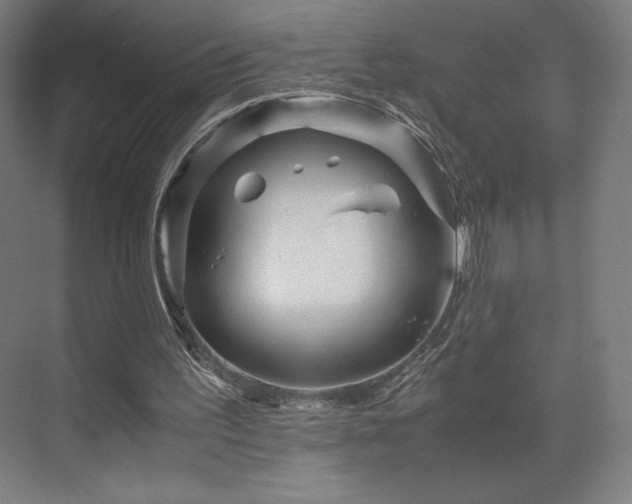 X0000071810195200606301236