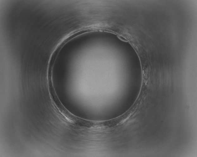 X0000071810196200606301236