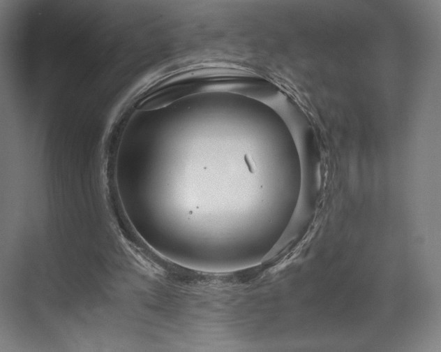 X0000071810197200606301236