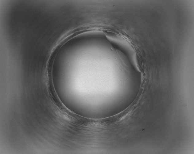 X0000071810198200606301236