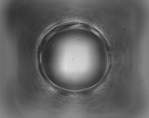 X0000071810199200606301236