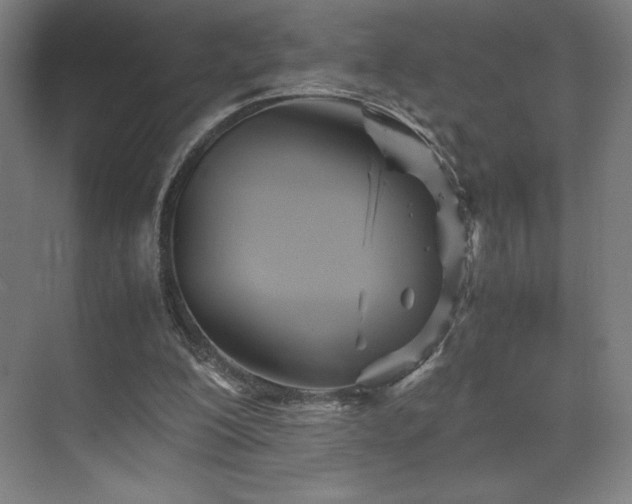 X0000071810200200606301235